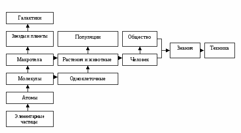 Окружающий мир система систем. Иерархическая система объектов окружающего мира схема. Окружающий мир как иерархическая система. Окружающий мир как иерархическая система Информатика. Окружающий мир как иерархическая система 9 класс.