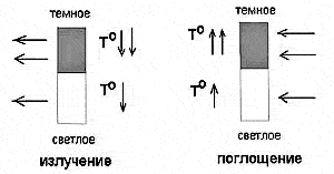 55